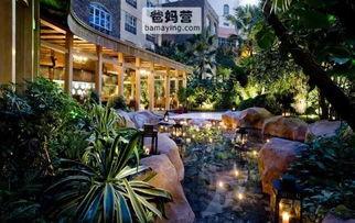 吃瓜娱乐杭州椰子宾馆,揭秘网红酒店背后的吃瓜娱乐故事