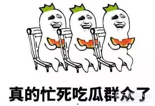 吃瓜群众爱娱乐,揭秘明星幕后故事，吃瓜群众狂欢盛宴