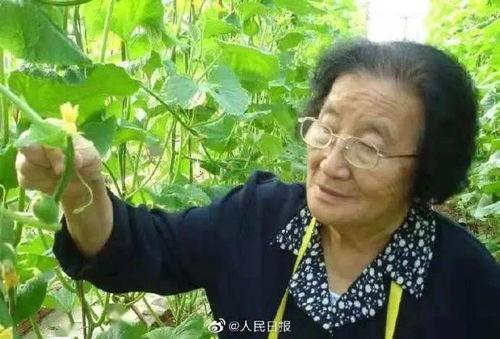 娱乐吃瓜菌8个陌生人,八位神秘嘉宾的跨界狂欢之夜