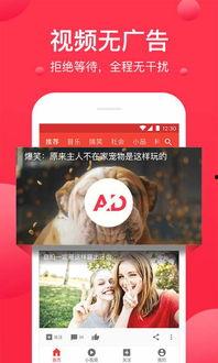 娱乐吃瓜素材视频下载,吃瓜素材视频背后的故事