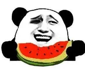 娱乐吃瓜菌体育,娱乐吃瓜菌带你揭秘精彩瞬间