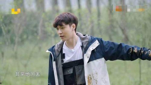 娱乐吃瓜蜀黍张艺兴小说,娱乐圈的甜蜜瓜田