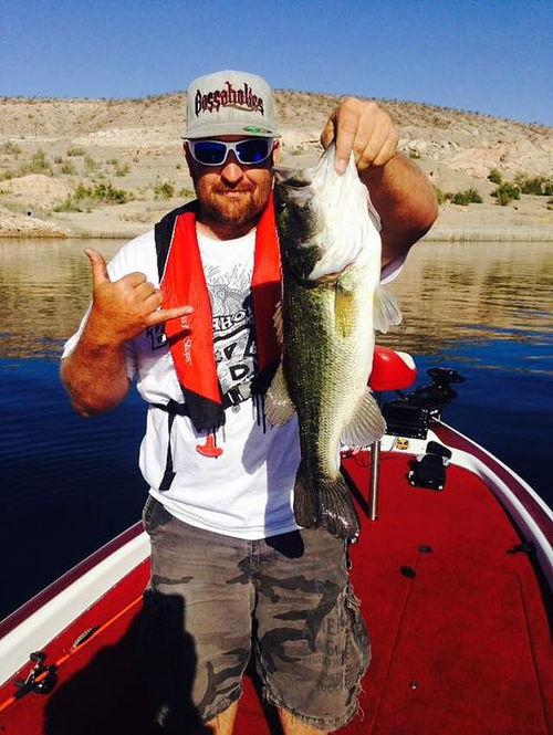 娱乐吃瓜钓鱼视频大全下载,一键下载收藏！