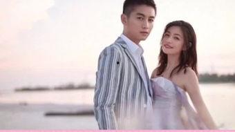 娱乐陈晓吃瓜小说,娱乐圈的甜蜜瓜田