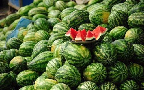 娱乐观察吃毒瓜