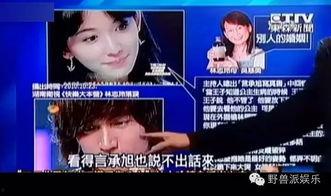 娱乐吃瓜蜀黍广告视频在线观看,揭秘热门广告视频，带你领略网络娱乐新风尚